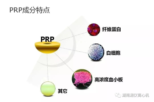 【Popularización de la ciencia】 PRP Suero Autólogo Belleza